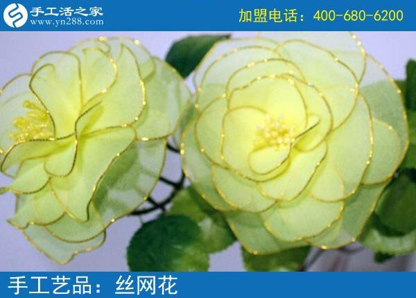 你見過這么漂亮的絲網(wǎng)花嗎？純手工制作廢物利用 花的世界花的海洋！(圖4)