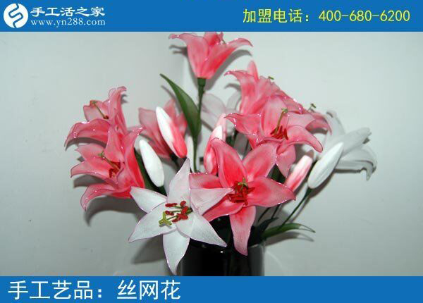 你見過這么漂亮的絲網(wǎng)花嗎？純手工制作廢物利用 花的世界花的海洋！(圖3)
