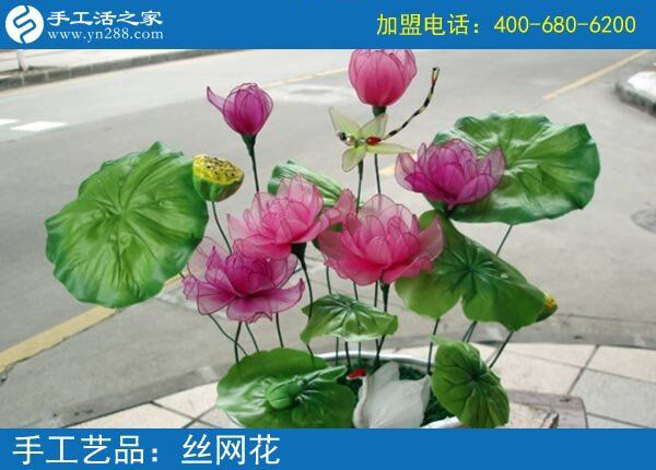 你見過這么漂亮的絲網(wǎng)花嗎？純手工制作廢物利用 花的世界花的海洋！(圖5)