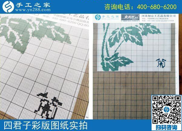 手工之家雅薇麗珠繡圖紙（梅蘭竹菊）新款，彩色升級版！(圖3)