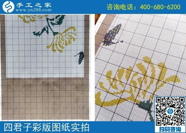 手工之家雅薇麗珠繡圖紙（梅蘭竹菊）新款，彩色升級版！(圖4)