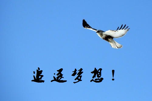 追夢路上，付出和堅(jiān)守就是成功的秘訣-------手工之家新疆阿克蘇地區(qū)某加工會員成長記(圖1)