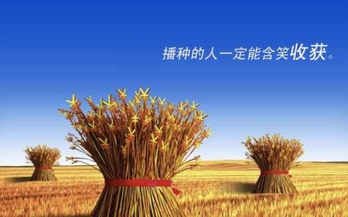 （干貨）分享：判斷在家做的手工活加工項目的正規(guī)性，這幾個角度要注意(圖3)