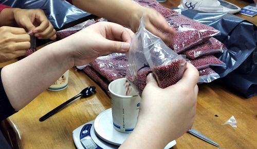 加班到夜里十點(diǎn)，要讓珠繡外發(fā)材料盡快到加工人員的手中(圖5)