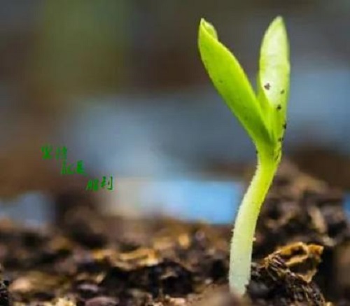 這五點(diǎn)銷售心理做好了，微商也就會(huì)越來越成功(圖1)