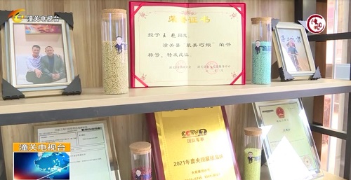 用心去種，才能成就一棵能擋雨納涼的大樹 --- --- 手工之家植樹節(jié)有感