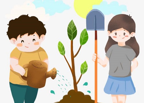用心去種，才能成就一棵能擋雨納涼的大樹 --- --- 手工之家植樹節(jié)有感