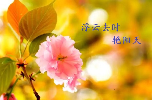 不一樣的五·一，用一樣的心去努力(圖6)