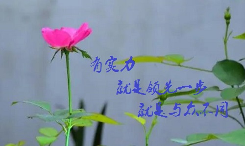 手工活接單正規(guī)平臺，有實(shí)力的手工廠家是啥樣的？