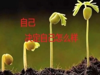 能在家做的手工副業(yè)，你是否能做純手工項(xiàng)目掙錢？
