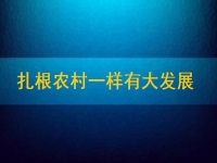 在家能做的兼職正規(guī)可靠，扎根農(nóng)村一樣有大發(fā)展