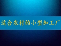 適合農(nóng)村的小型加工廠，月入2萬不算多，你有時(shí)間也能做