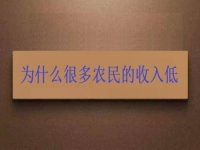 為什么很多農(nóng)民的收入低？這2點做好了，在家兼職手工活收入是杠杠滴
