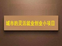 適合城市靈活就業(yè)創(chuàng)業(yè)的小項目，正規(guī)純手工多了1項收入
