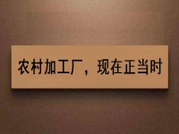 這個農(nóng)村加工廠項目，沒關(guān)系、沒錢也可以做好，你還等什么？
