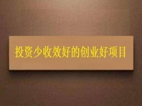 投資不到3萬(wàn)，1個(gè)人就能干，利潤(rùn)很高，每天收入能上千，我能做嗎