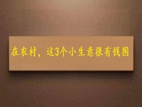 都說在農(nóng)村不好賺錢，可以試試這幾個(gè)小生意，很有“錢”圖