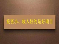 投資這么小，為什么收入?yún)s能這樣好？這個(gè)拿回家做的手工項(xiàng)目給出了答案