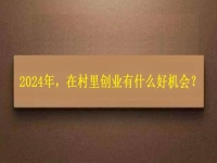 2024年，在村里創(chuàng)業(yè)還有什么好機會？