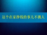 這個(gè)在家掙錢的事兒不挑人，2024要掙錢，你我就靠它了