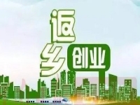 除了種地，不外出打工，在農(nóng)村還能怎樣掙錢？很多人低成本創(chuàng)業(yè)做手工傳承官