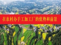 發(fā)掘農(nóng)村優(yōu)勢，讓返鄉(xiāng)創(chuàng)業(yè)開手工加工廠成為更多人掙錢增收的好辦法