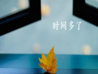 開學(xué)季，做手工傳承官掙錢的家庭婦女、寶媽等女士更多了，因?yàn)橛袝r(shí)間、能掙錢