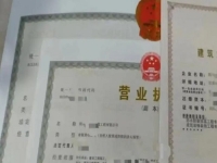 2025年要做的小成本創(chuàng)業(yè)項(xiàng)目，開純手工加工廠掙錢不會(huì)倒閉，能長期做下去