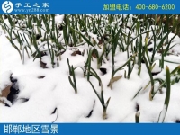 雪天串珠繡，足不出戶在家賺錢！邯鄲魏縣賈女士的手工活兼職記