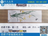 手工之家雅薇麗珠繡圖紙展示：一學(xué)就會(huì)，一看就懂的手工活！
