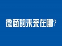 未來微商會怎樣發(fā)展？這八大趨勢一定要看
