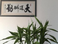 （干貨）分享：判斷在家做的手工活加工項(xiàng)目的正規(guī)性，這幾個角度要注意