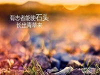 做微商賺不到錢？你是不是犯了這個(gè)錯(cuò)誤