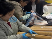 在家庭工作做手工活外接串珠子，常年輕松快樂把錢賺